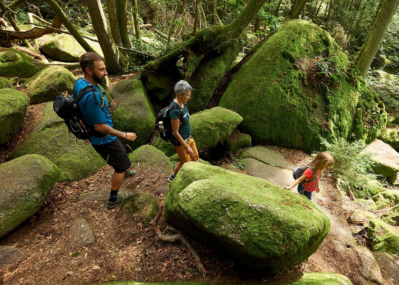 Erlebniswanderungen bei Saldenburg