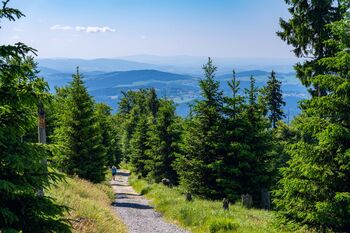 Aktivitäten in der Natur: Reitausflüge, Kutschfahrten, Drachenfliegen, Sommerrodeln, Geocaching- oder Nordic-Walking-Touren