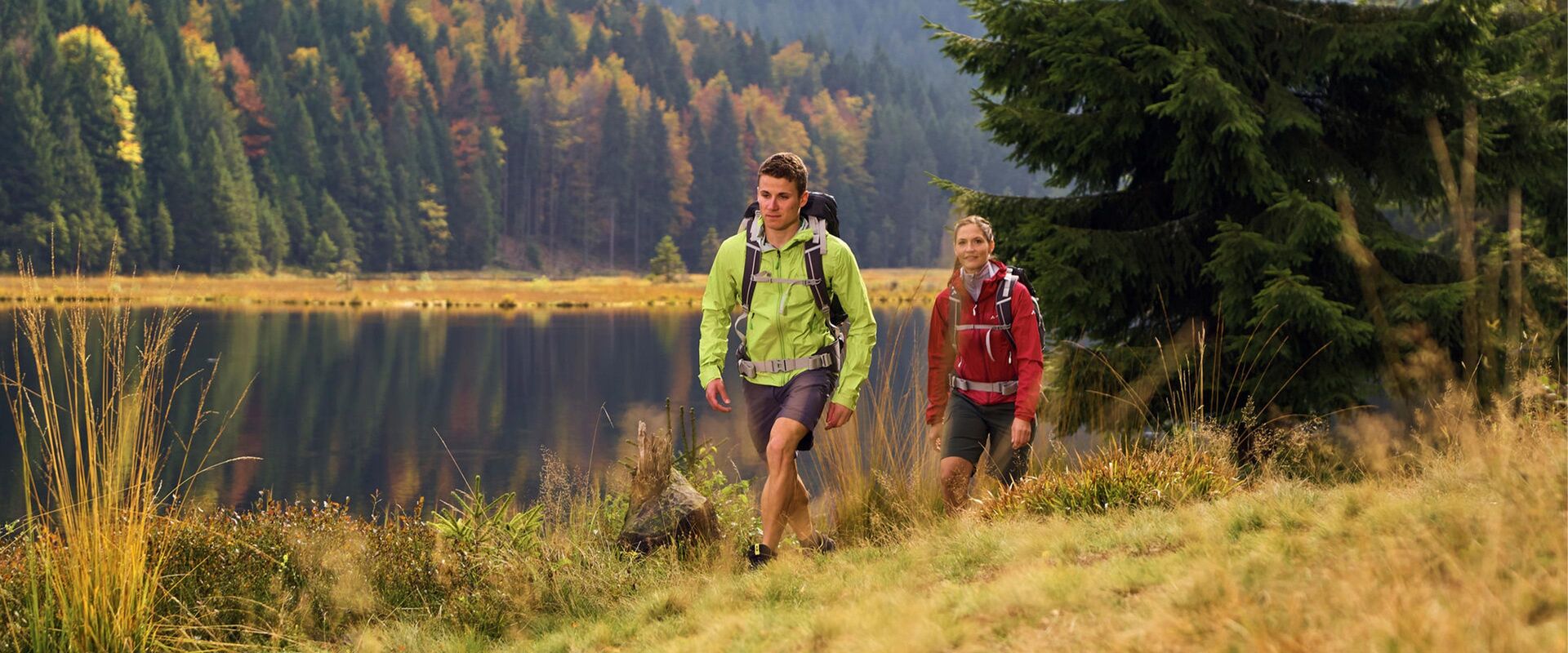 Waldgenusstage im Herbst - Wanderzeit