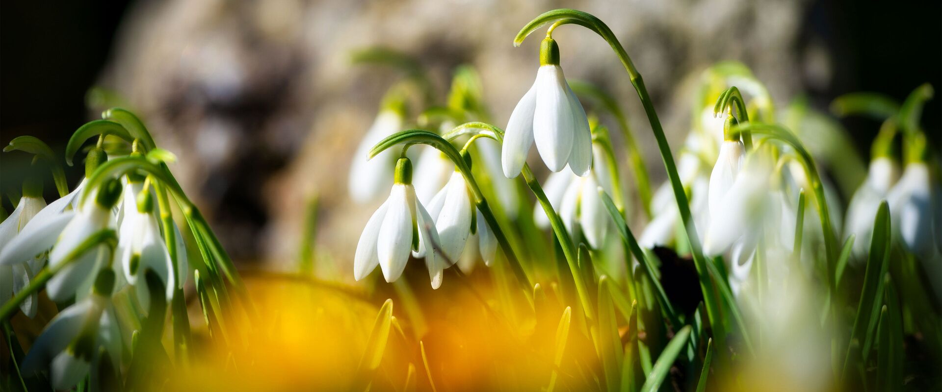 Übernachtungsangebot: Frühlingshafte Ostertage