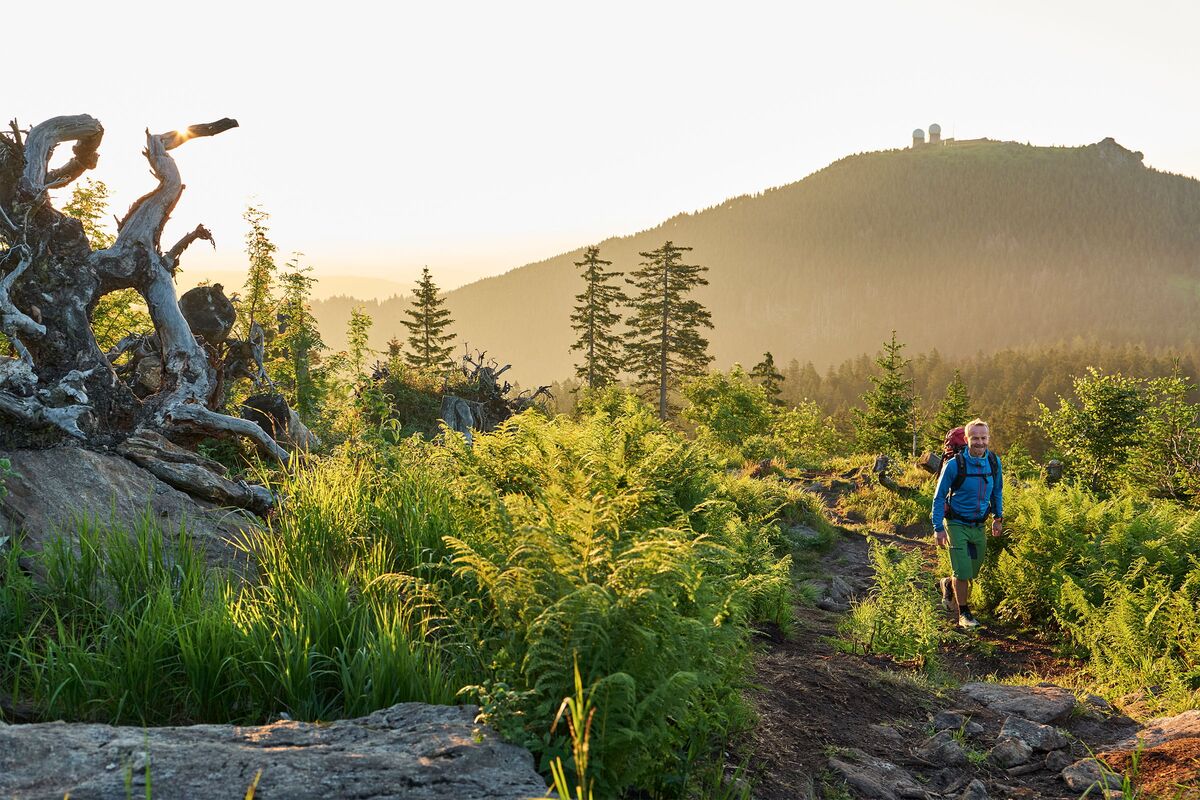 Ausflugsziel: Arbergebiet mit Großem Arber, Großem Arbersee, Haus der Wildnis samt Tierfreigelände-Rundweg