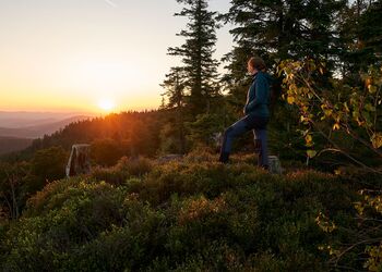 Nordic Walking bei Grattersdorf in der Region Sonnenwald
