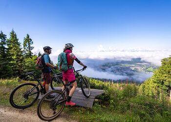 E-Bike Touren im Landkreis Freyung-Grafenau