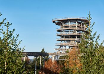 Ausflugsziel: Waldwipfelpfad in Maibrunn