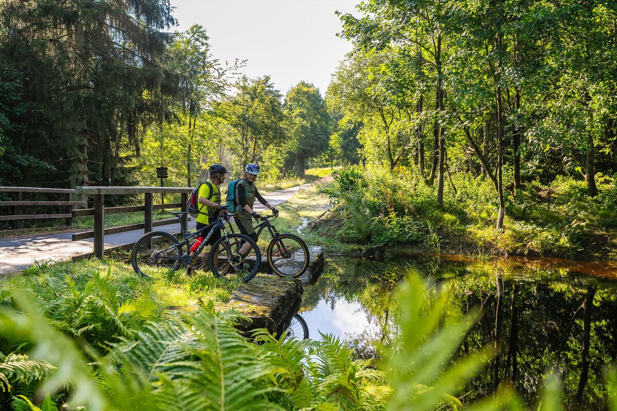 Ausflug mit dem Fahrrad