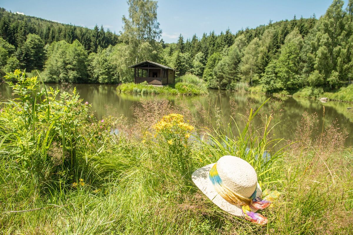 Fischweiher mit Quellwasser