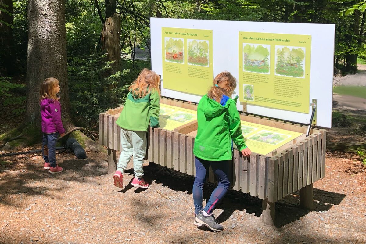Sonnenwald-Erlebnispfad mit 10 Mitmachstationen