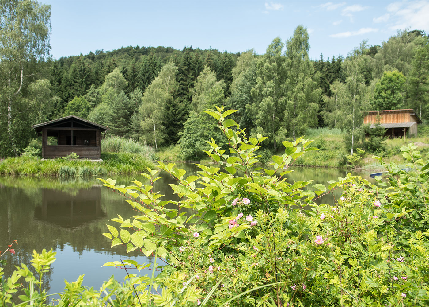 Ausflugziele: Weiher, Freibäder, Badeseen in der Umgebung von Zenting