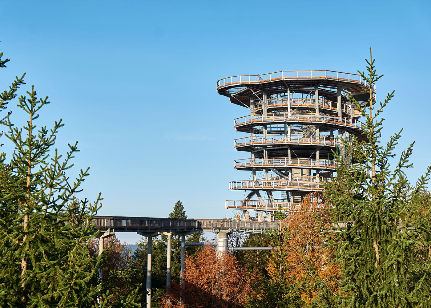 Ausflugsziel: Waldwipfelpfad in Maibrunn