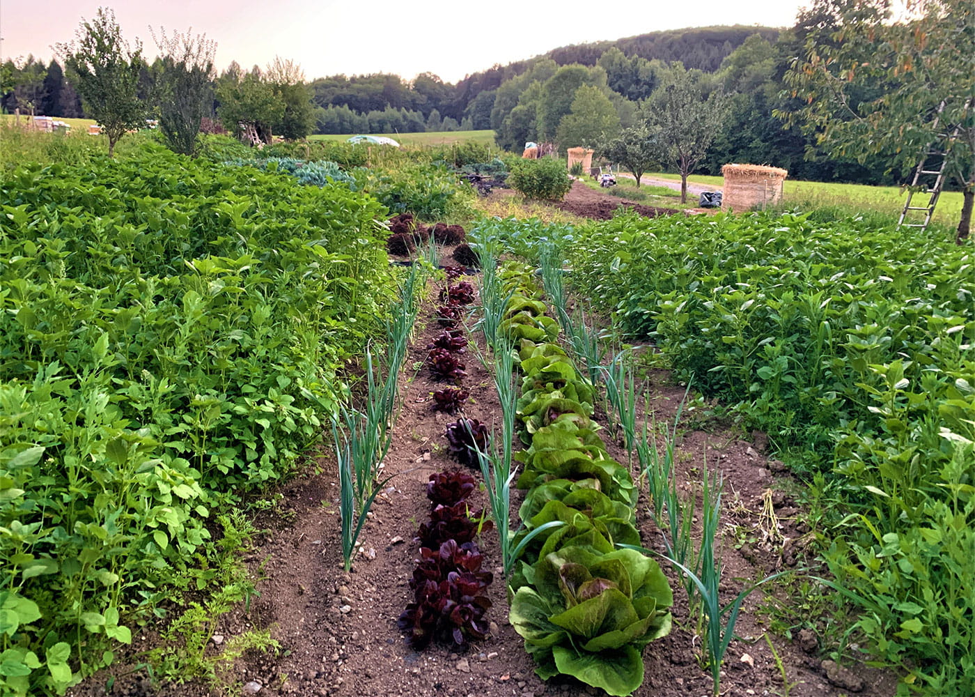 Nachhaltige und regionale Produkte